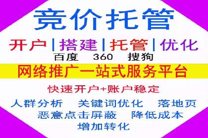 案例对比：不同竞价推广策略的优劣分析